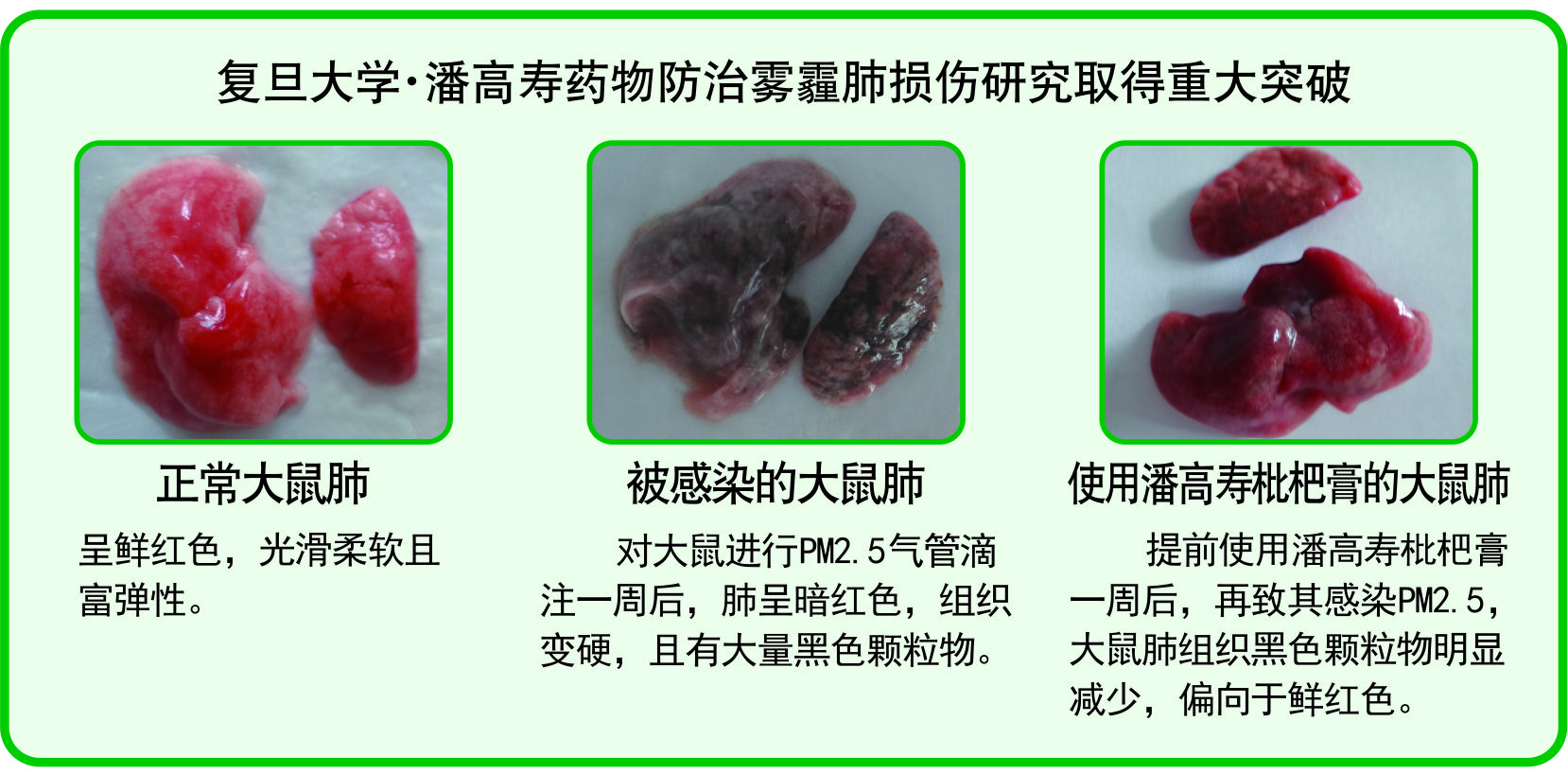微信圖片_20181116150816.jpg 微信圖片_20181116150816.jpg